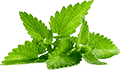 ddos压力测试网页端